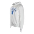 thumbnail image 3 of Diesel Mens Faded Logo Hoodie, 3 of 3