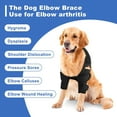 Dog Elbow Brace Protector Pads for Canine Elbow and Shoulder Support Elbow Hygroma, Dysplasia
