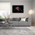 thumbnail image 5 of Epic Art 'Salmon Waratah I' by Elise Catterall, Acrylic Glass Wall Art, 36"x24", 5 of 8