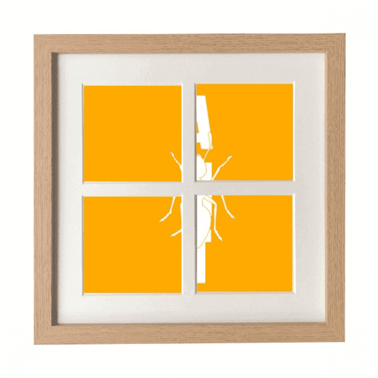 Insect Barm Fears Animals Ants Frame Wall Tabletop Display 4 