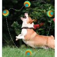 thumbnail image 4 of Lettuce Pets Dog Toys, Lettuce Pets Chew Ball, Heavy-Duty Spiky Chew Ball, 4 of 5