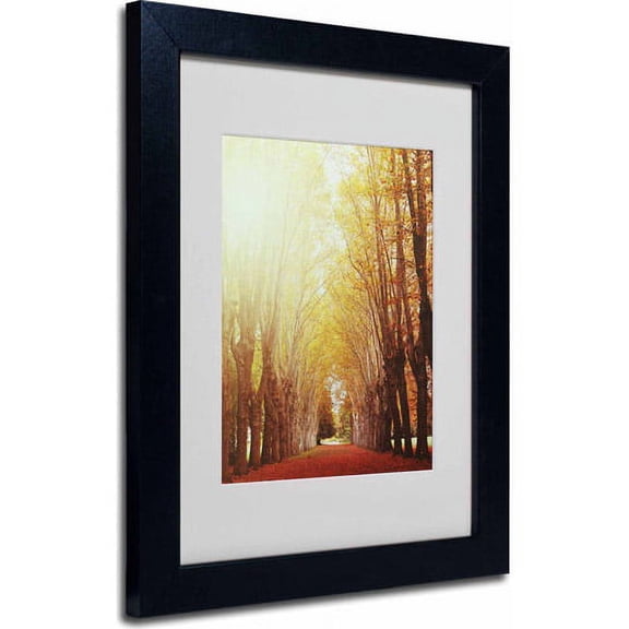 Trademark Fine Art "Fountains of Light" Canvas Art by Philippe Sainte-Laudy, Black Frame