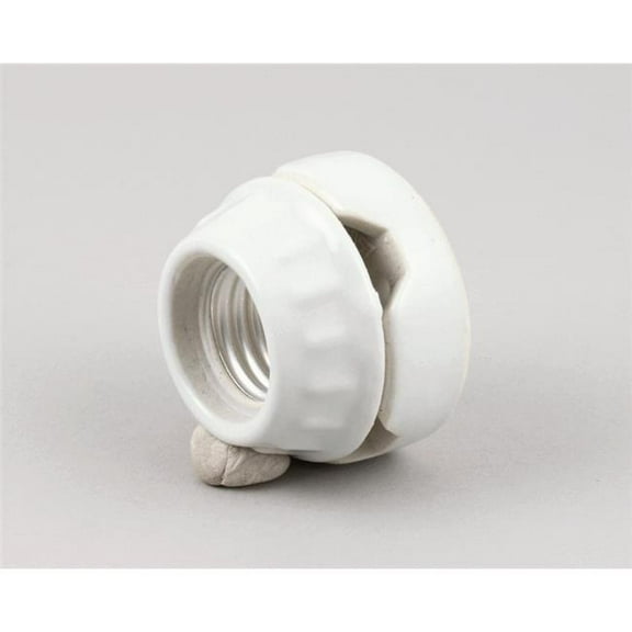 APW Wyott 2E-73003 Socket, Porcelain, 660W, 250V