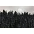 thumbnail image 2 of The Yellowstone Collection 14x11 Black Modern Framed Museum Art Print Titled - Sun through the Fog, Yellowstone National Park, 2 of 4