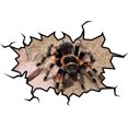 thumbnail image 2 of VWAQ Tarantula Wall Decals Decor Realistic Spider Stickers Hole In The Wall - WC27 (24"H X 30"W), 2 of 2