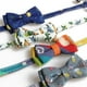 thumbnail image 5 of collar de perro nuevo, 5 of 5