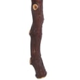 thumbnail image 4 of Vickerman Manzanita Tree Natural 24", Dried, 4 of 4