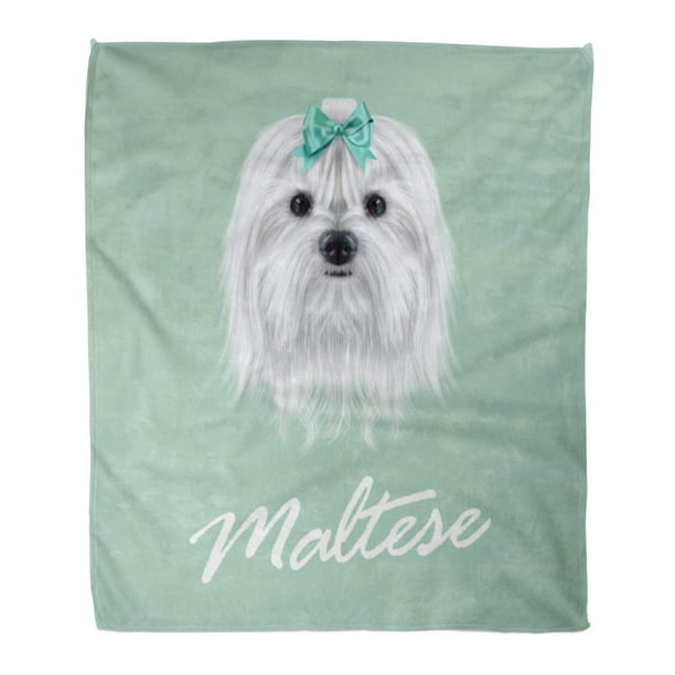 JSDART Flannel Throw Blanket Portrait of Maltese Dog Cute White Fluffy Face Soft for Bed Sofa and Couch 58x80 Inches Walmart