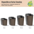 thumbnail image 4 of Berry Green Vasos Corrugados para Café con Tapa de 8 oz (237 ml), Paquete de 60 Vasos y 60 Tapas, Resistentes, Perfectaos Para Cafe, Te y Todo Tipo de Bebidas Calientes, Sin Derrames, Biodegradables, 4 of 8