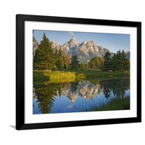 Art.com Grand Teton National Park, Wyoming, USA Photographic Print by Charles Gurche, Black Frame Wall Art, 40" x 32"