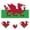 A013- Wales World Cup Face Tattoo, variant on Face Tattoo Sticker, Georgia 2026 , 1 Piece Waterproof, For Football Fans Bar Watching Game Event Decoration