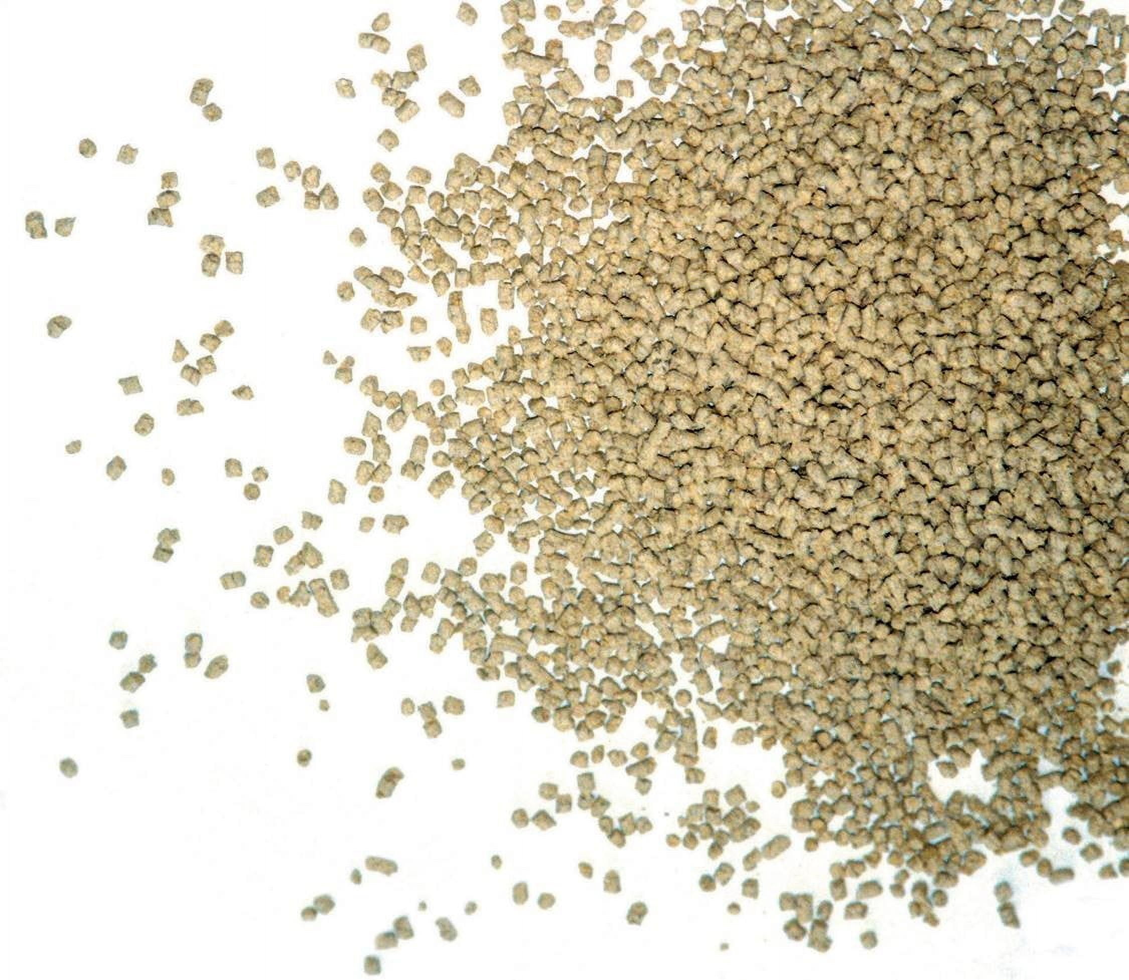 Next Gen Cypress Fresh Cat Litter Made from Hinoki Cypress Wood and Fresh Green Tea 14 lbs Bags