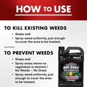 Spectracide One Shot Weed & Grass Killer Ready-to-Use Spray, 1 Gallon