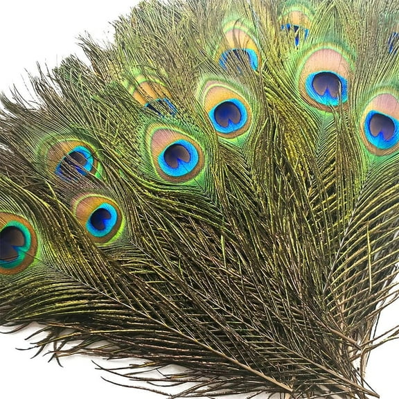 50 pcs Peacock Feathers in Bulk 10-12 inch(25-30 cm) Bulk for DIY Craft, Wedding, Mardi Gras Decoration