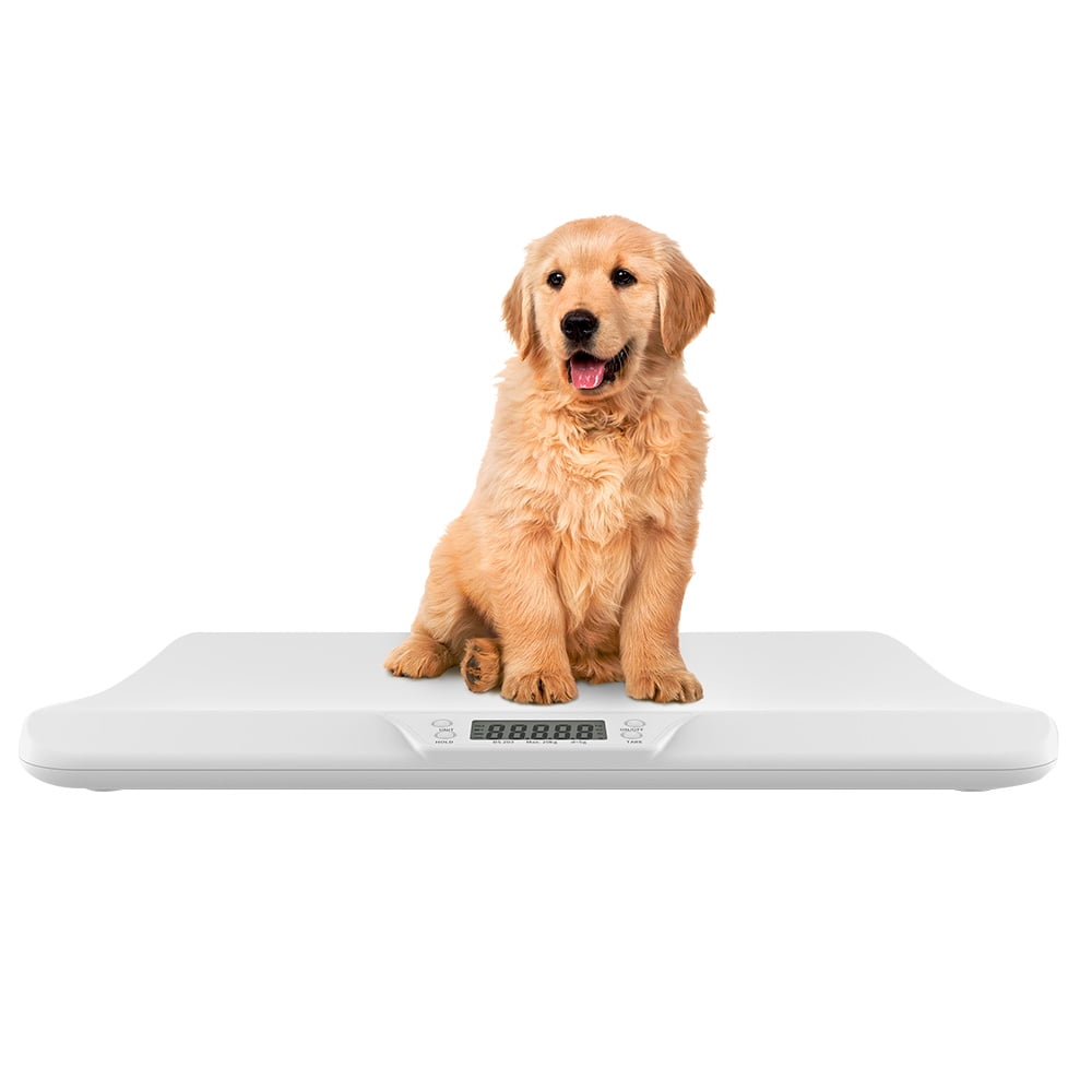 pet weight scales pet weight scales