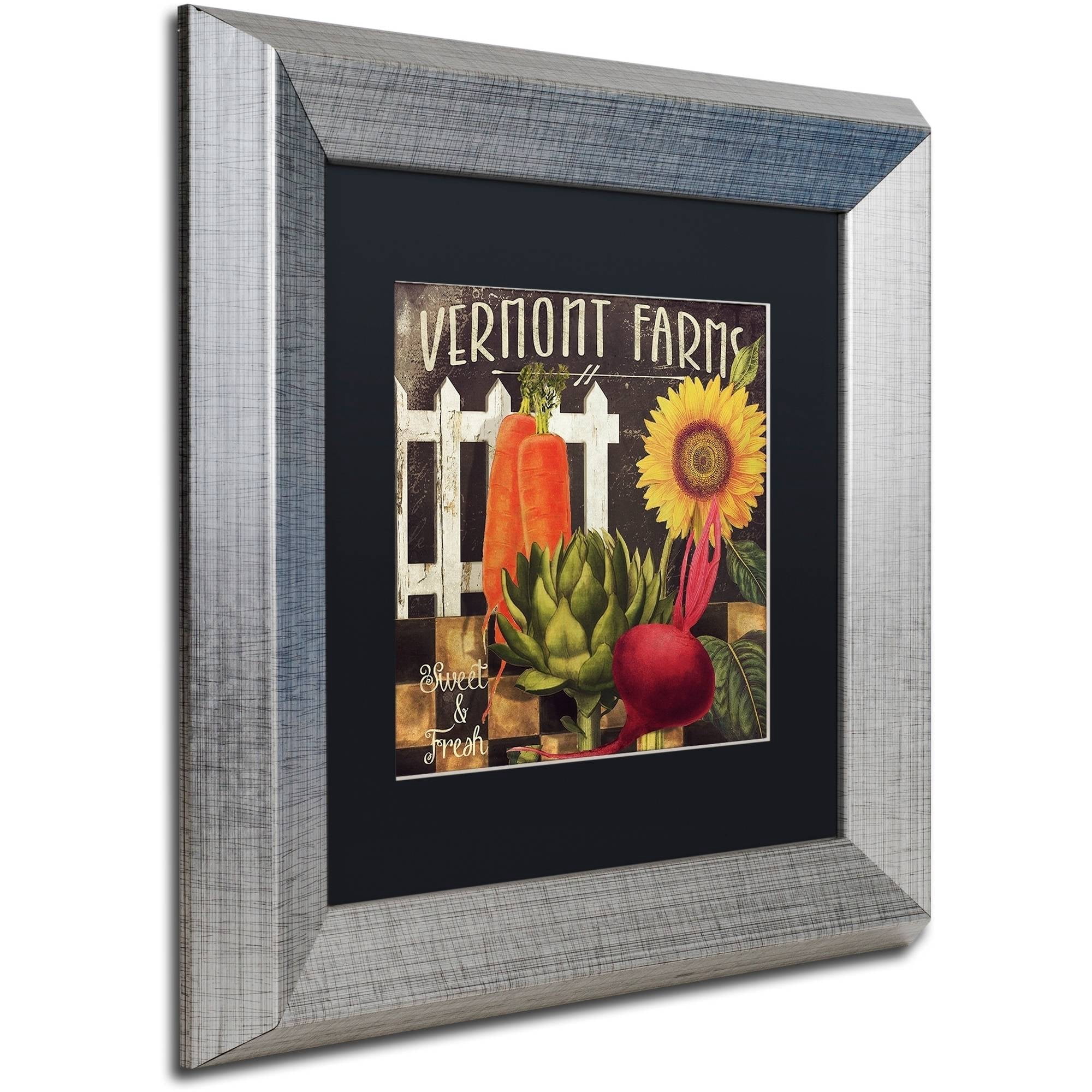 Trademark Fine Art "Vermont Farms VIII" Canvas Art by Color Bakery Black Matte, Silver Frame
