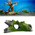 thumbnail image 4 of Reptile Caves, Fish Hideouts In Sanctuary, Resting Natural Caves, 4 of 5