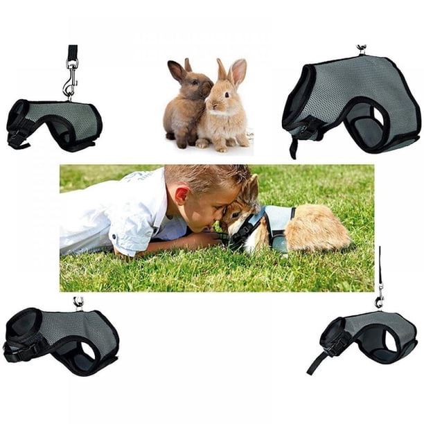 Harnais Et Laisse Ajustables Pour Petit Animal (lapin, Chinchilla, Furet) - Tissu Polaire Doux - Longueur Laisse 120 Cm