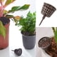 thumbnail image 5 of Matsuzay 10 Uds. Cesta con tapa de fertilizante suministros de jardinería caja con tapa 2,8*5cm Type1 NO1, 5 of 6