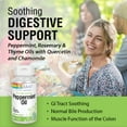 thumbnail image 3 of Solaray Peppermint Oil Enteric Coated w/ Rosemary & Thyme Oil | Healthy, Soothing Digestion Support | 60 Softgels, 3 of 6