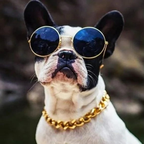 Fiudx Collar de Cadena Dorada con Eslabones Cubanos, Estilo Hip Hop para Mascotas, Diseño Elegante y Resistente, Ajuste Ajustable para Perros y Gatos, Ideal para Juegos Activos, 45 Cm de Largo, Acces