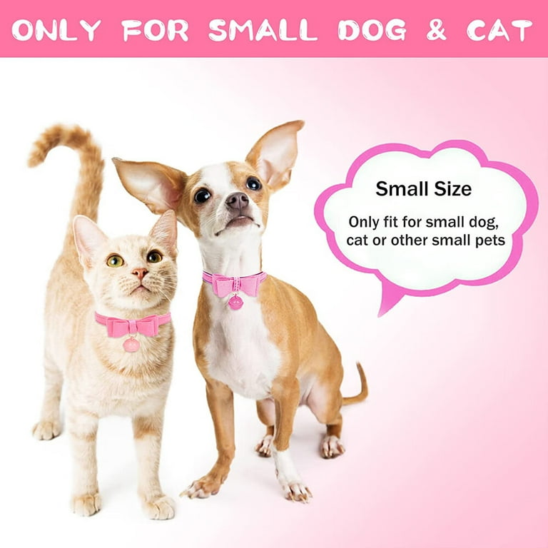Xx small on sale dog collar