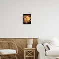 thumbnail image 2 of Stupell Industries Modern Hibiscus Photography Botanical & Floral Photography White Framed Art Print Wall Art, 11 x 14, 2 of 8