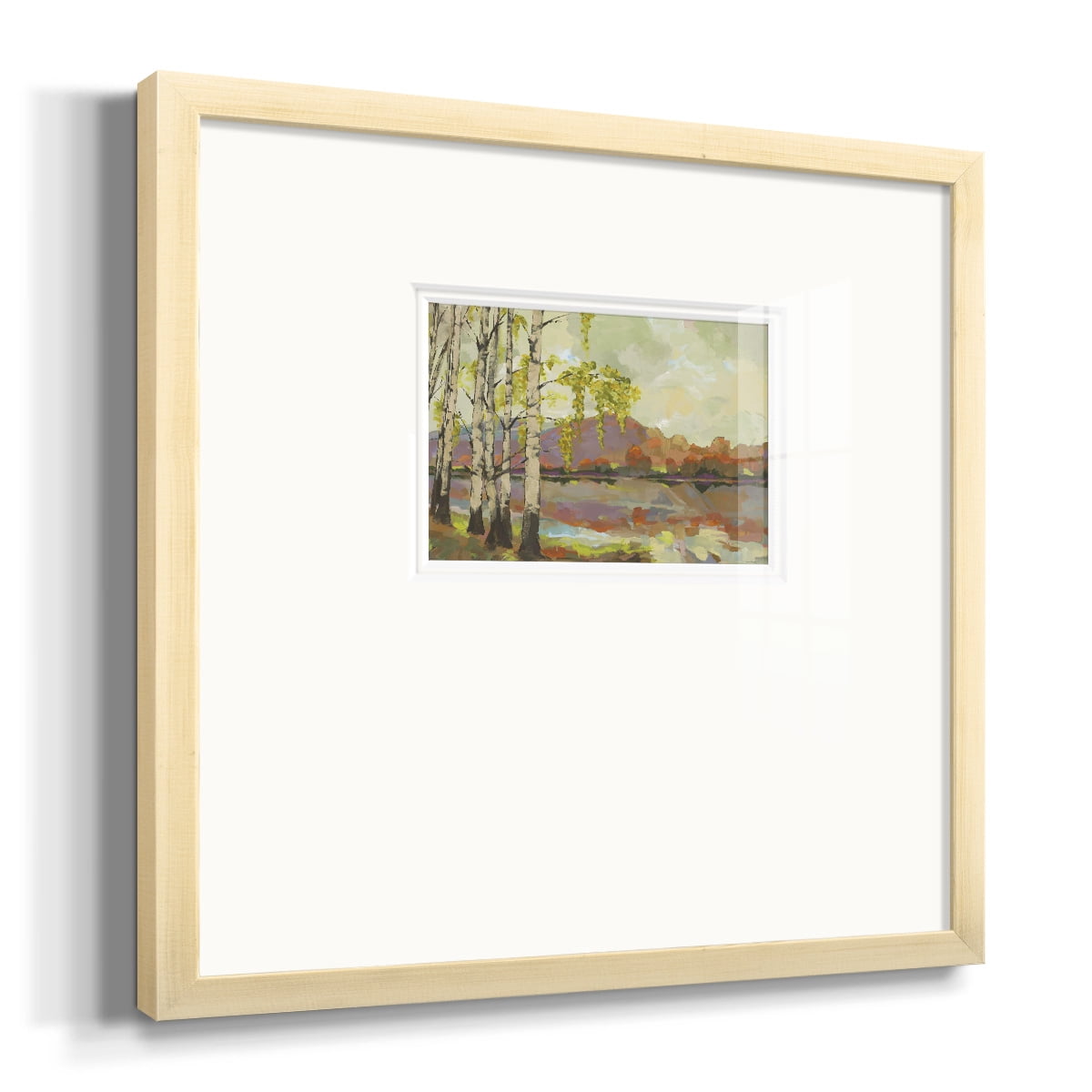 Birch Stand-Premium Framed Print