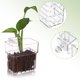 thumbnail image 3 of Moluckfu 4Ud Soporte Para Acuáticas Con Fijación Estable Y Transparente, 3 of 6