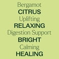thumbnail image 3 of TRATAK ORGANICS Bergamot Essential Oil for Diffuser and Skin - 4 Fl Oz - 100% Pure Natural Bergamot Oil for Aromatherapy, Hair Shampoo, Bath Bomb & Soap Making Scent DIY, 3 of 6