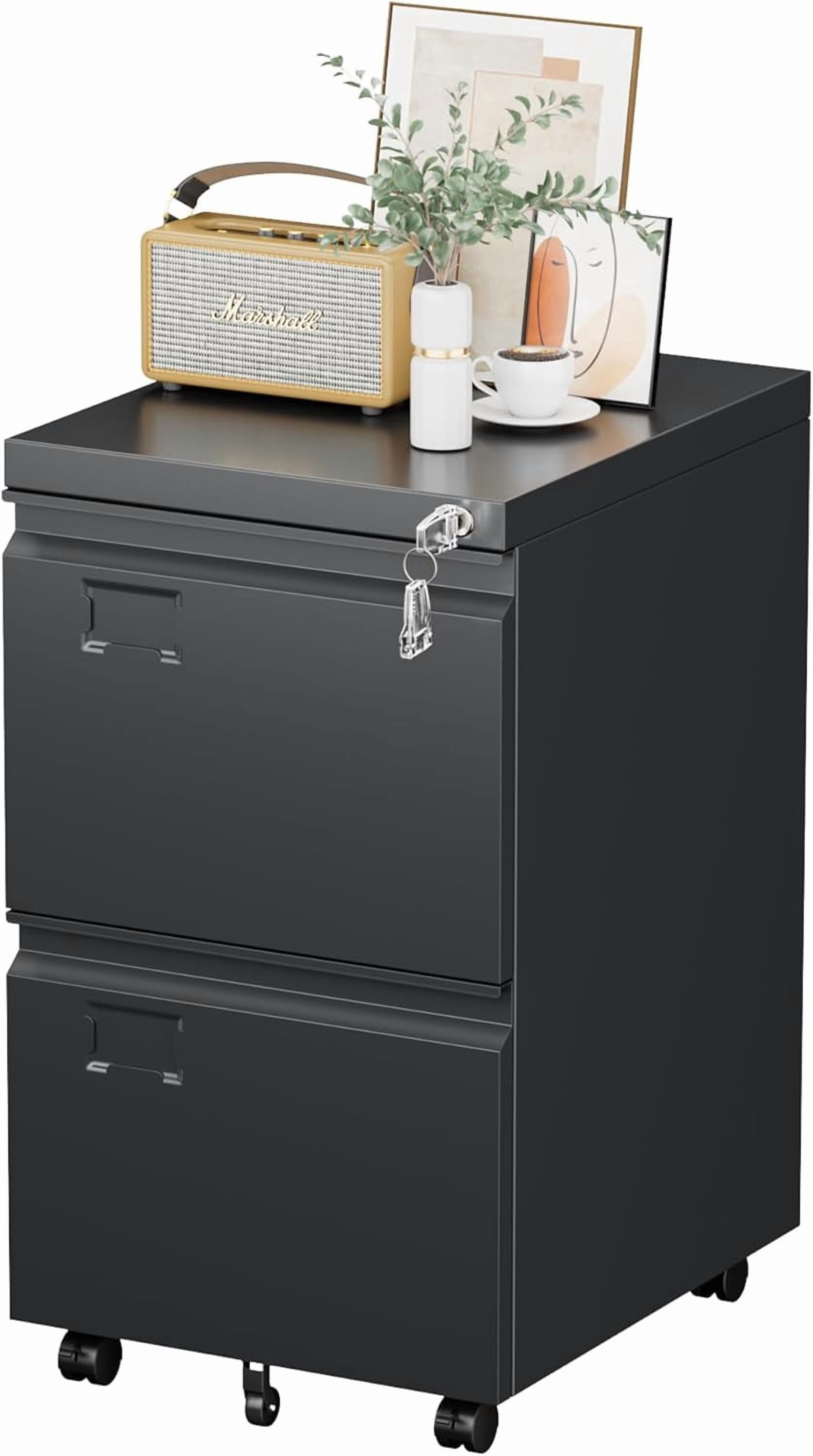 Black Metal 2 Drawer Mobile File Cabinet - 19.69 in Width Under Desk Cabinet for Office Home Legal Letter Size Storage