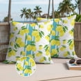 thumbnail image 2 of Summer Lemon Outdoor Pillow Covers Pack of 2 Watercolor Fruit Farmhouse Blue Strip Waterproof Throw Pillow Covers Decorative Cushion Cases for Patio Garden Tent Balcony Couch 18x18 inch, 2 of 9