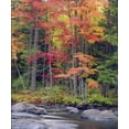 thumbnail image 2 of Talbot Frank, Christopher 15x17 Gold Ornate Wood Framed with Double Matting Museum Art Print Titled - USA, New York, Autumn in the Adirondack Mountains, 2 of 4