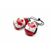 Canada - Mini Boxing Gloves (approx 4")