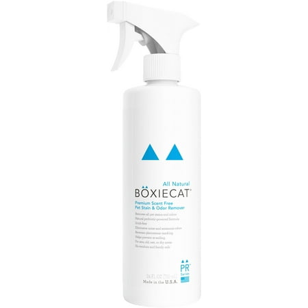UPC: 0862918000066 | Boxiecat Premium Scent-free Stain & Odor Remover  24 oz. Ready to Use