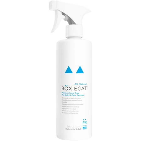 UPC: 0862918000066 | Boxiecat Premium Scent-free Stain & Odor Remover 24 oz. Ready to Use