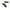 Coffee, variant on NIZELUK Invisible Hair Pad, Uncollapsed Hair Pad for Instant Volume, Head Accessory for Enhancing Hair Fullness Clearance Sales Today Deals Prime