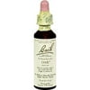 Bach HG0233759 0.7 fl oz Flower Remedies Essence - Oak
