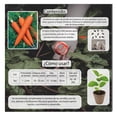 thumbnail image 3 of Semillas Zanahoria Vita, 3 of 5