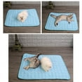 thumbnail image 3 of Dog Cooling Mat Pet Ice Silk Pad Washable Summer Sleeping Bed for Crate, Bed, Sofa, Indoor & Outdoor Floor, Car Seats, 3 of 4