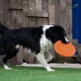 thumbnail image 4 of Typpkmm 7 Colors Silicone Flying Saucer Funny Dog Toy, 4 of 7