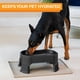 thumbnail image 4 of Neater Pet Brands Tazón Grande Con Extensiones De Patas, Enorme Plato De Agua Para Perros Y Mascotas, Estilo Jumbo (1,25 Galones, Negro Medianoche), 4 of 5