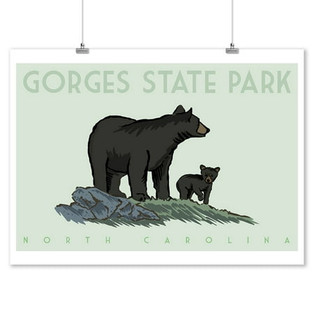 Gorges State Park, North Carolina - Black Bear & Cub - Lantern Press Artwork (9x12 Art Print, Wall Decor Travel