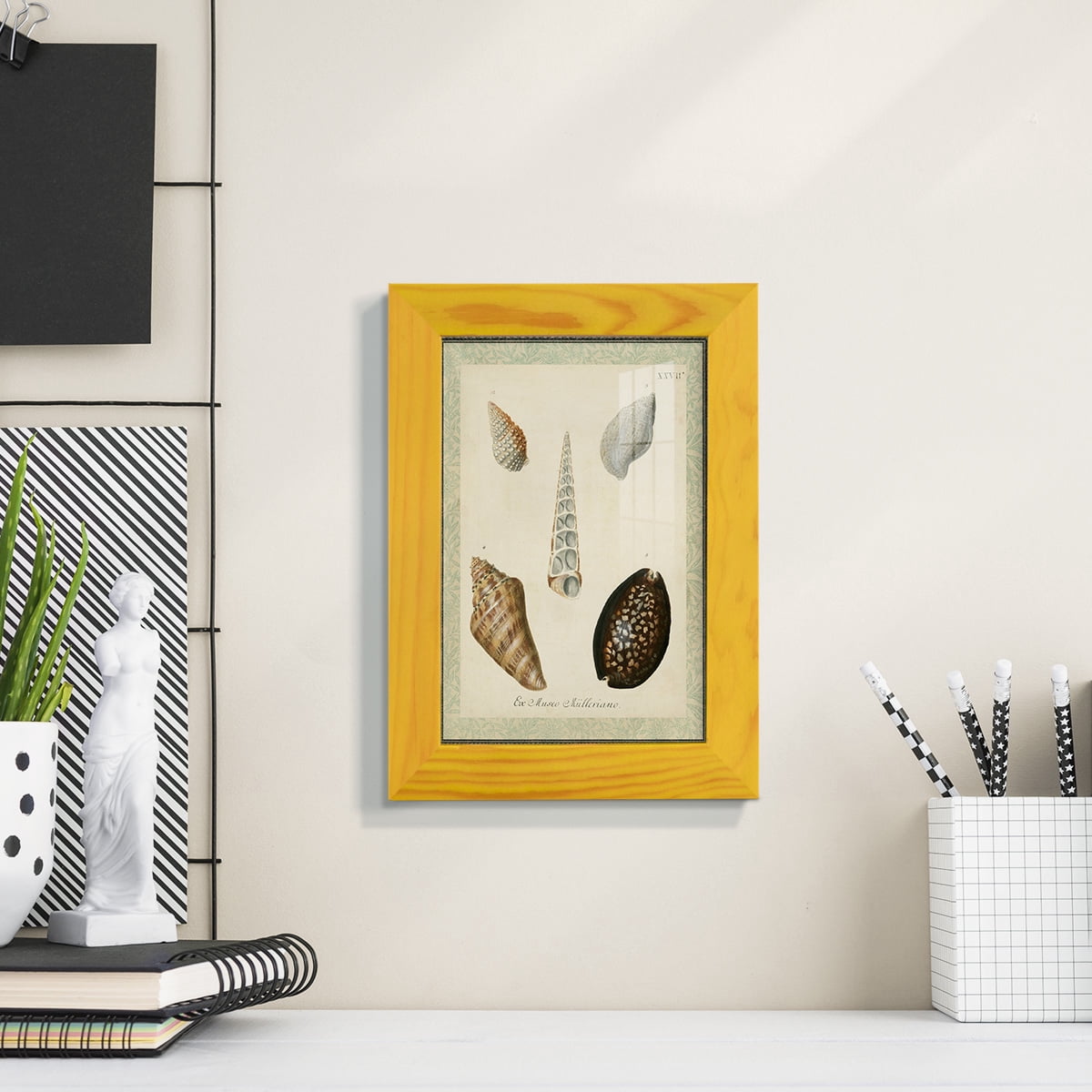 Bookplate Shells IX - Framed Print w/glass - Sunflower Yellow