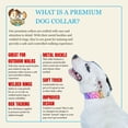 thumbnail image 3 of Country Brook Petz® 1 1/2 inch Premium Leopard Print Dog Collar, Large, 3 of 6