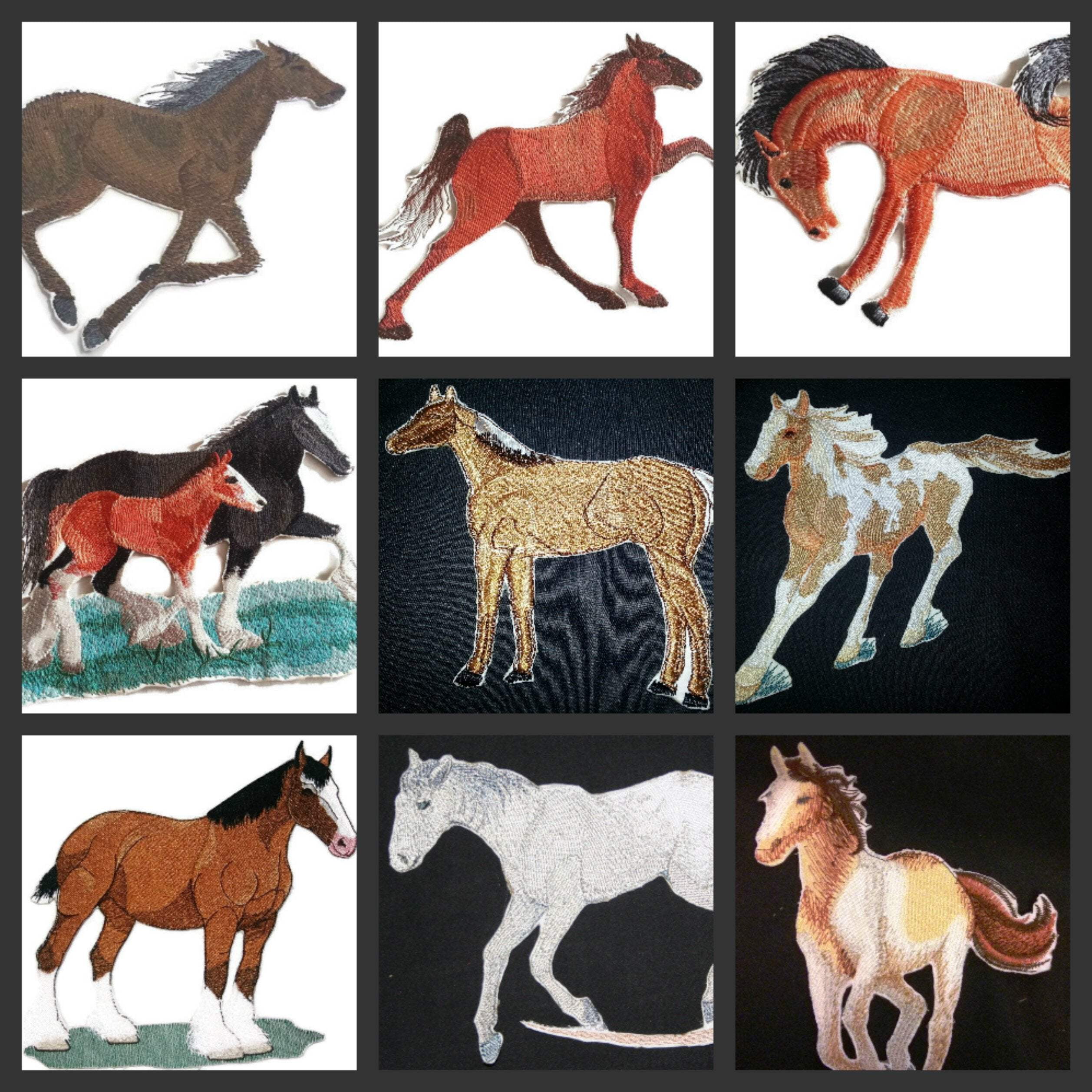 BeyondVision Custom and Unique Spirit of Stallions [American Paint Horse ] [Custom and Unique] Embroidered Iron on/Sew patch [6.8" 5.2"]