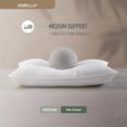 thumbnail image 2 of Sobel Westex: 2 Pack Hotel Sobella Bed Pillows for Sleeping for Adults | Side Sleeper Pillow | Hotel Quality, 300 TC,100% Cotton Case | Hypoallergenic, Soft, Machine Washable Queen (2 Pack), 2 of 4