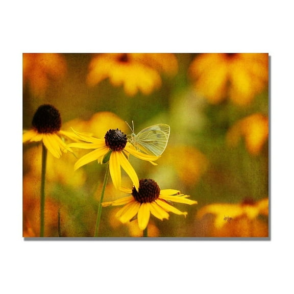 Trademark Fine Art "Butterfly on a Flower" Canvas Wall Art by Lois Bryan
