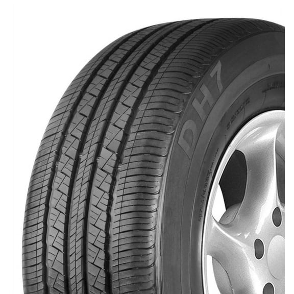 Delinte DH7 225/65R17 102H BSW Fits: 2018-23 Chevrolet Equinox LT, 2015-17 Subaru Outback 3.6R Touring