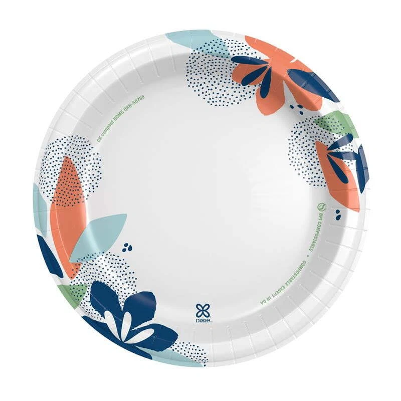 CIRCLE- Dixie Everyday Disposable Paper Plates, 10", Multi-Color, 100 Count